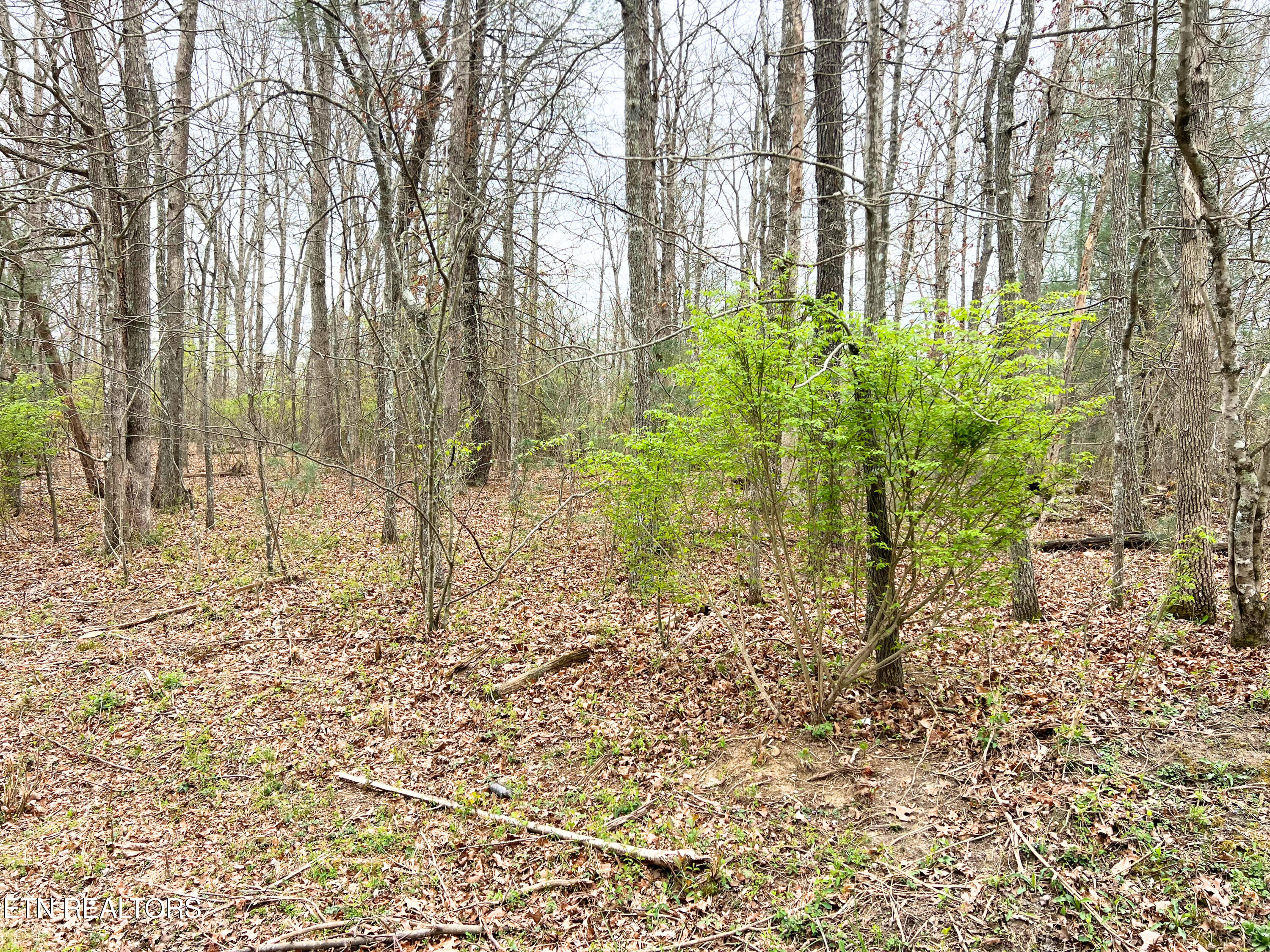1032, 1036 Uno Lane Crossville TN 38572