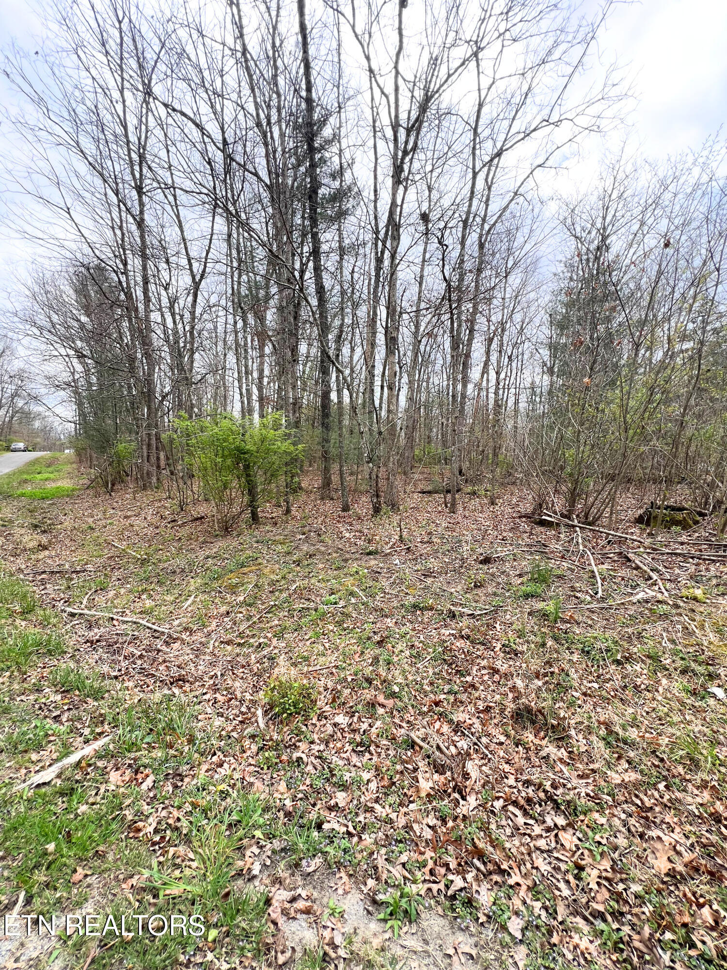 1032, 1036 Uno Lane Crossville TN 38572