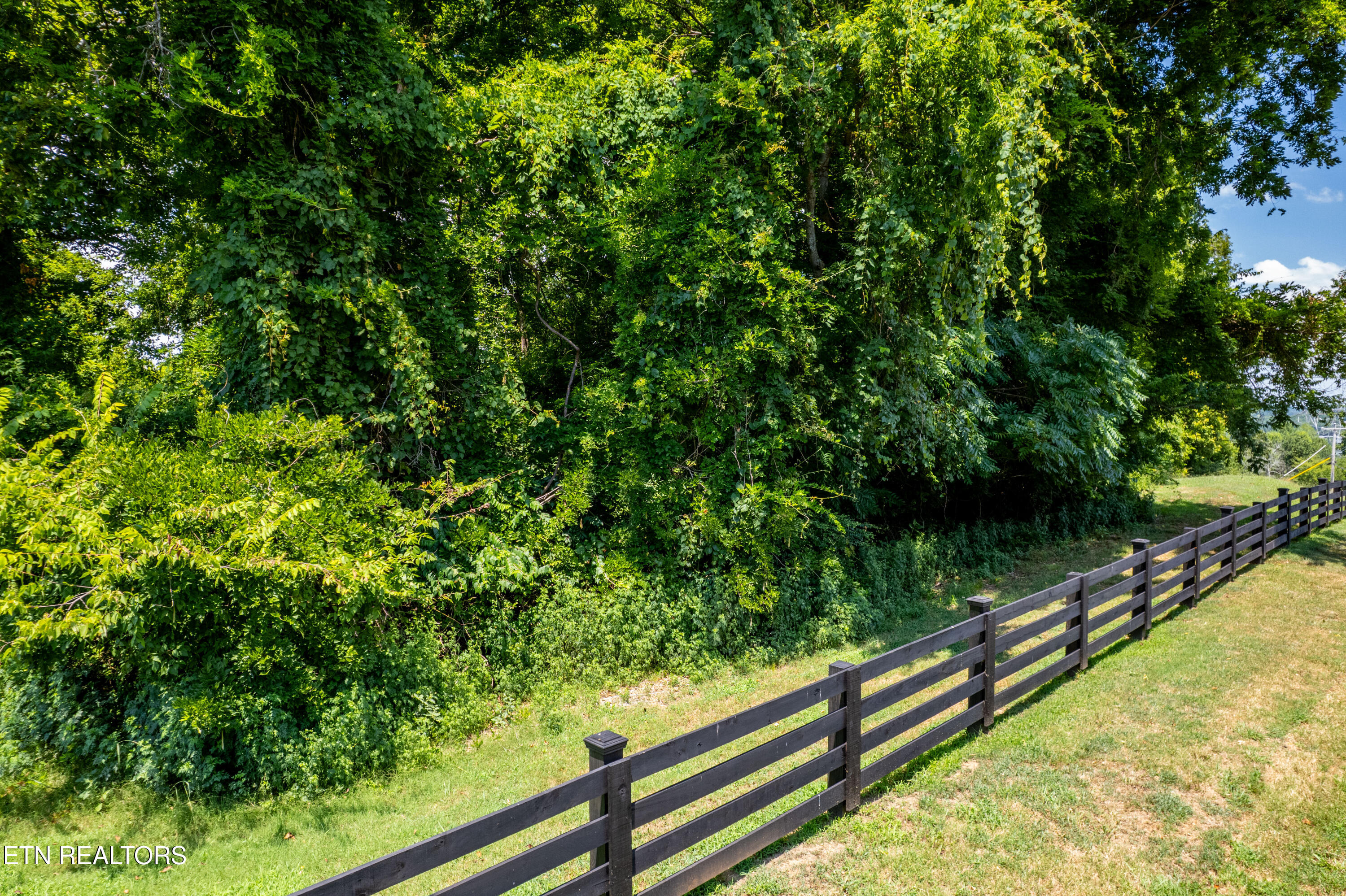 Lot 11 Rankin Ferry Loop Louisville TN 37777