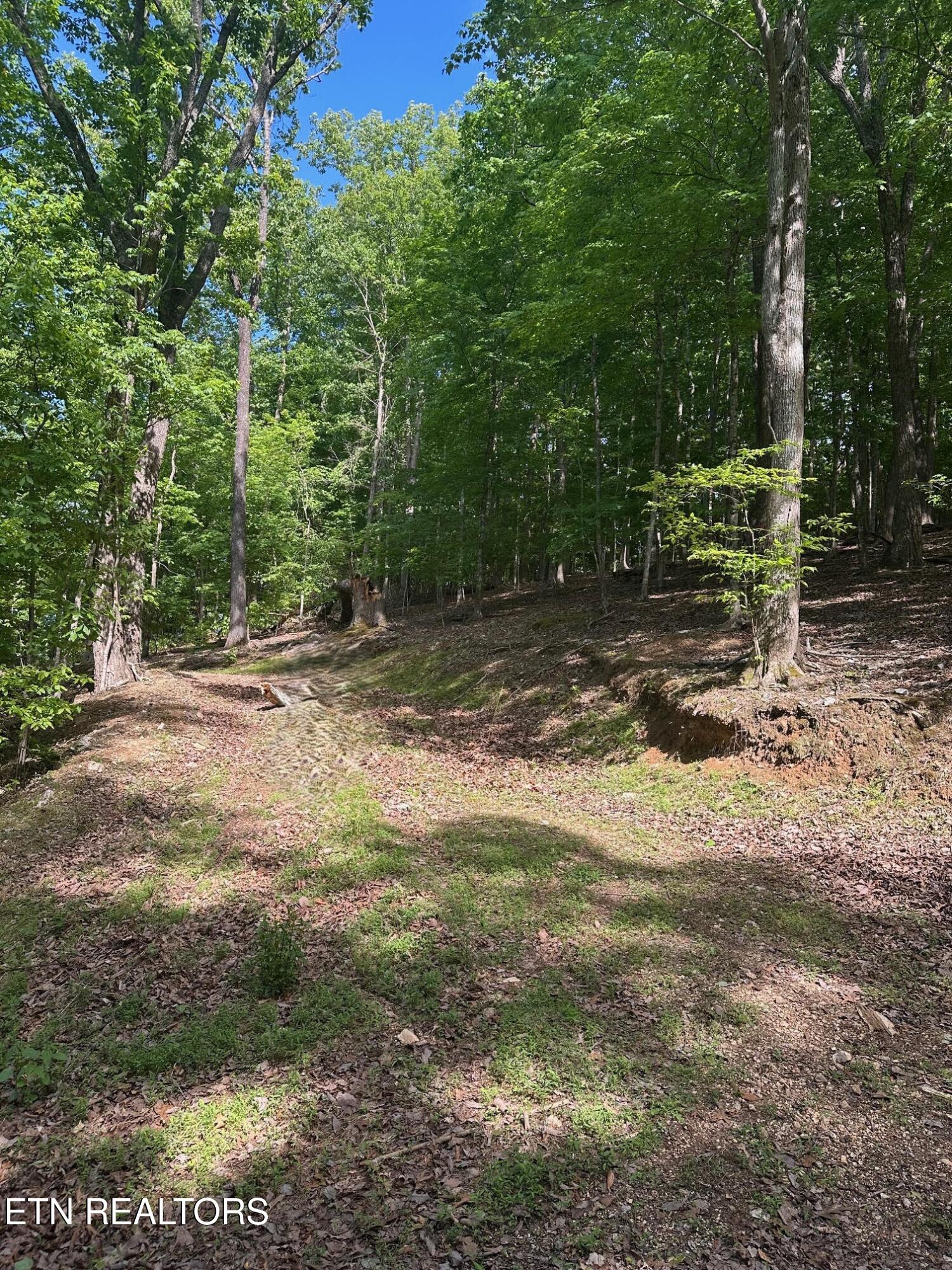 490 Fox Ridge Lane Caryville TN 37714
