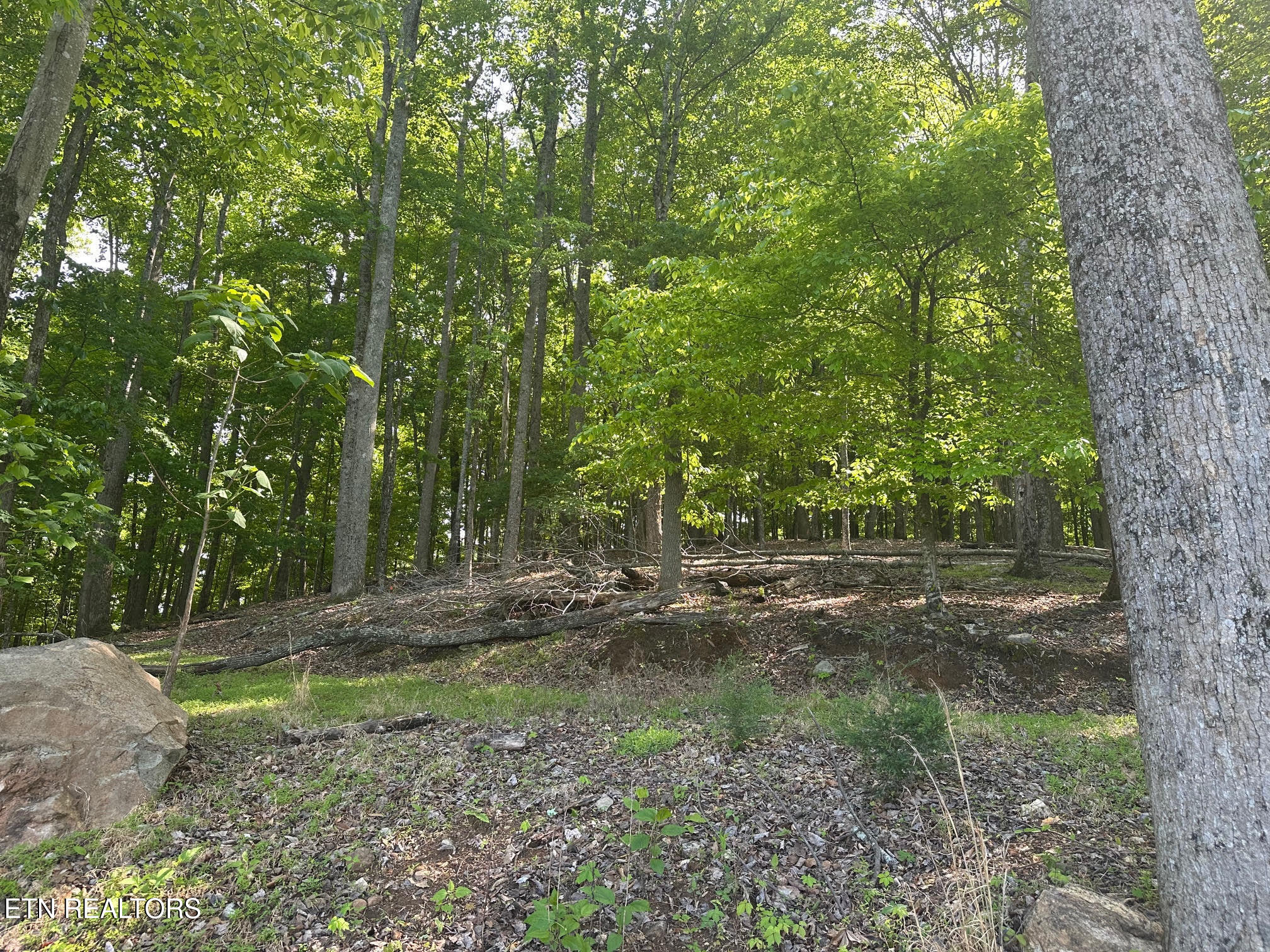 490 Fox Ridge Lane Caryville TN 37714