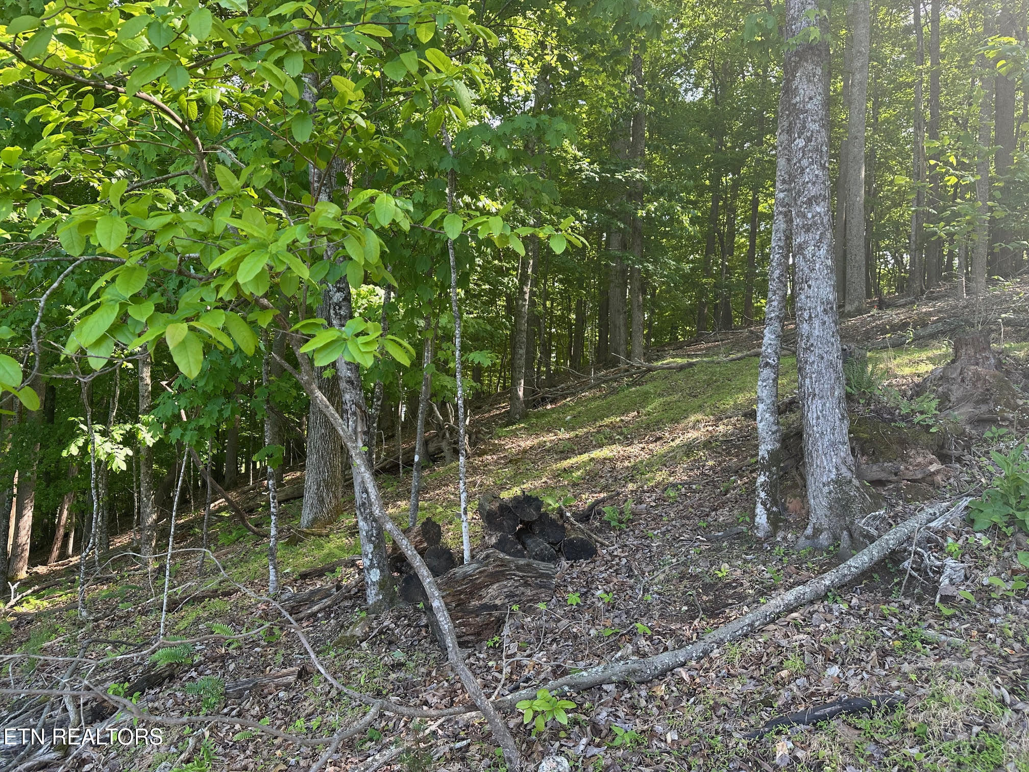 490 Fox Ridge Lane Caryville TN 37714