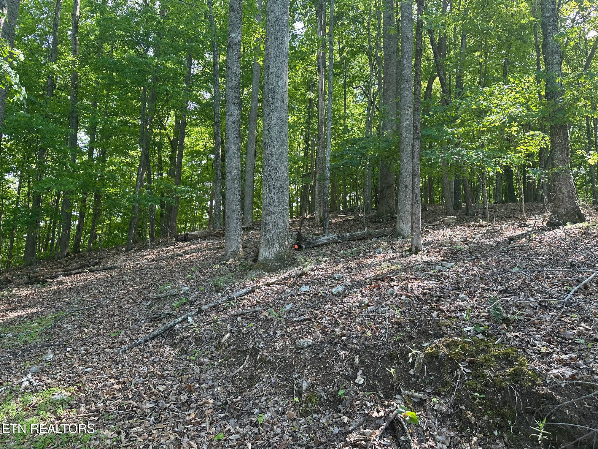 490 Fox Ridge Lane Caryville TN 37714