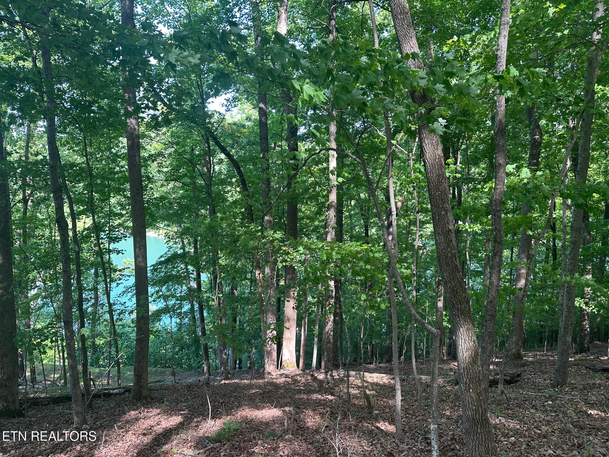 490 Fox Ridge Lane Caryville TN 37714