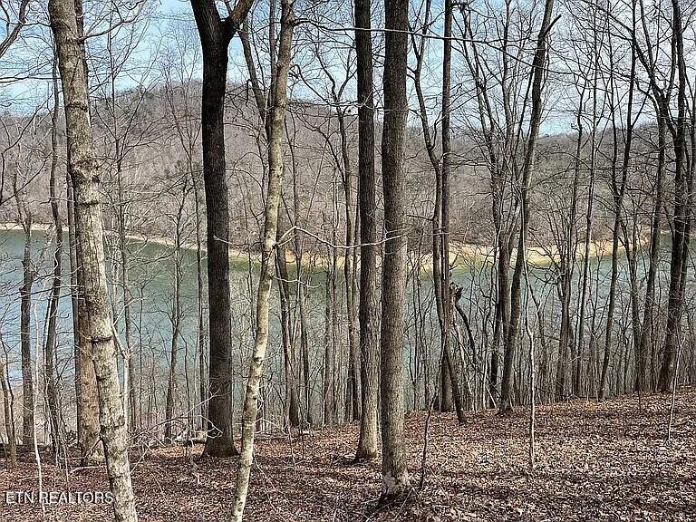 490 Fox Ridge Lane Caryville TN 37714