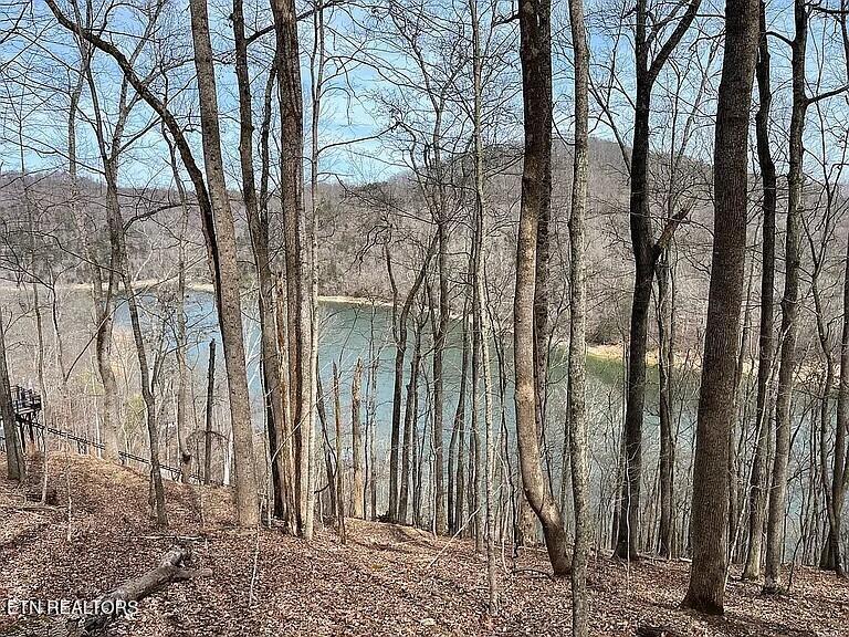 490 Fox Ridge Lane Caryville TN 37714