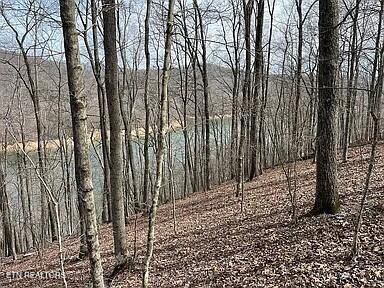 490 Fox Ridge Lane Caryville TN 37714
