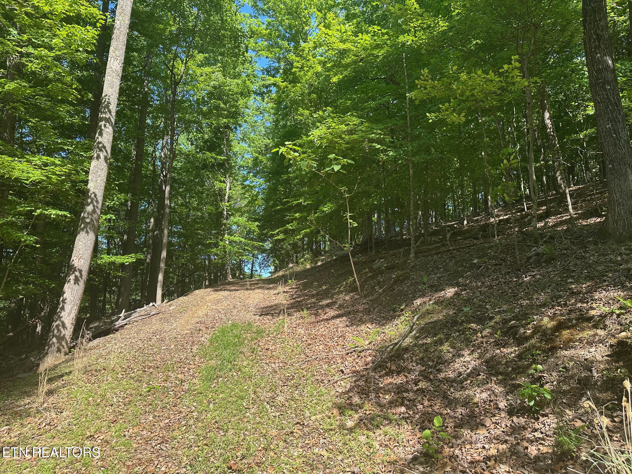 490 Fox Ridge Lane Caryville TN 37714