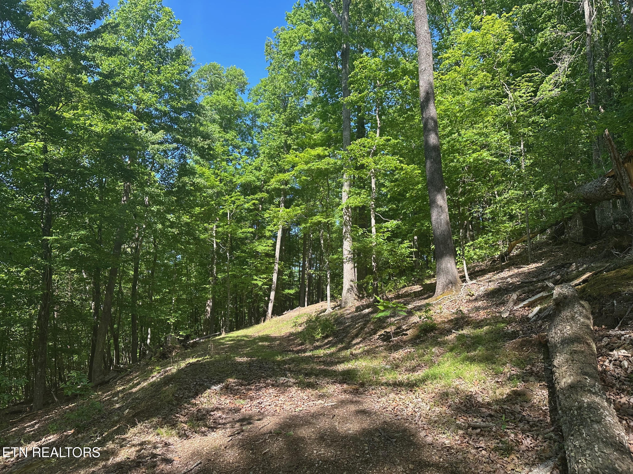 490 Fox Ridge Lane Caryville TN 37714
