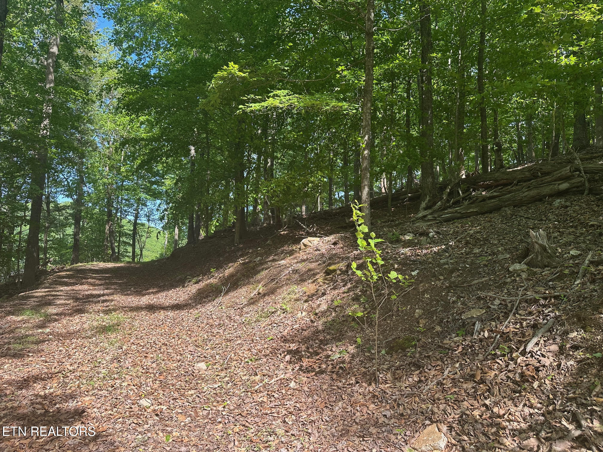 490 Fox Ridge Lane Caryville TN 37714