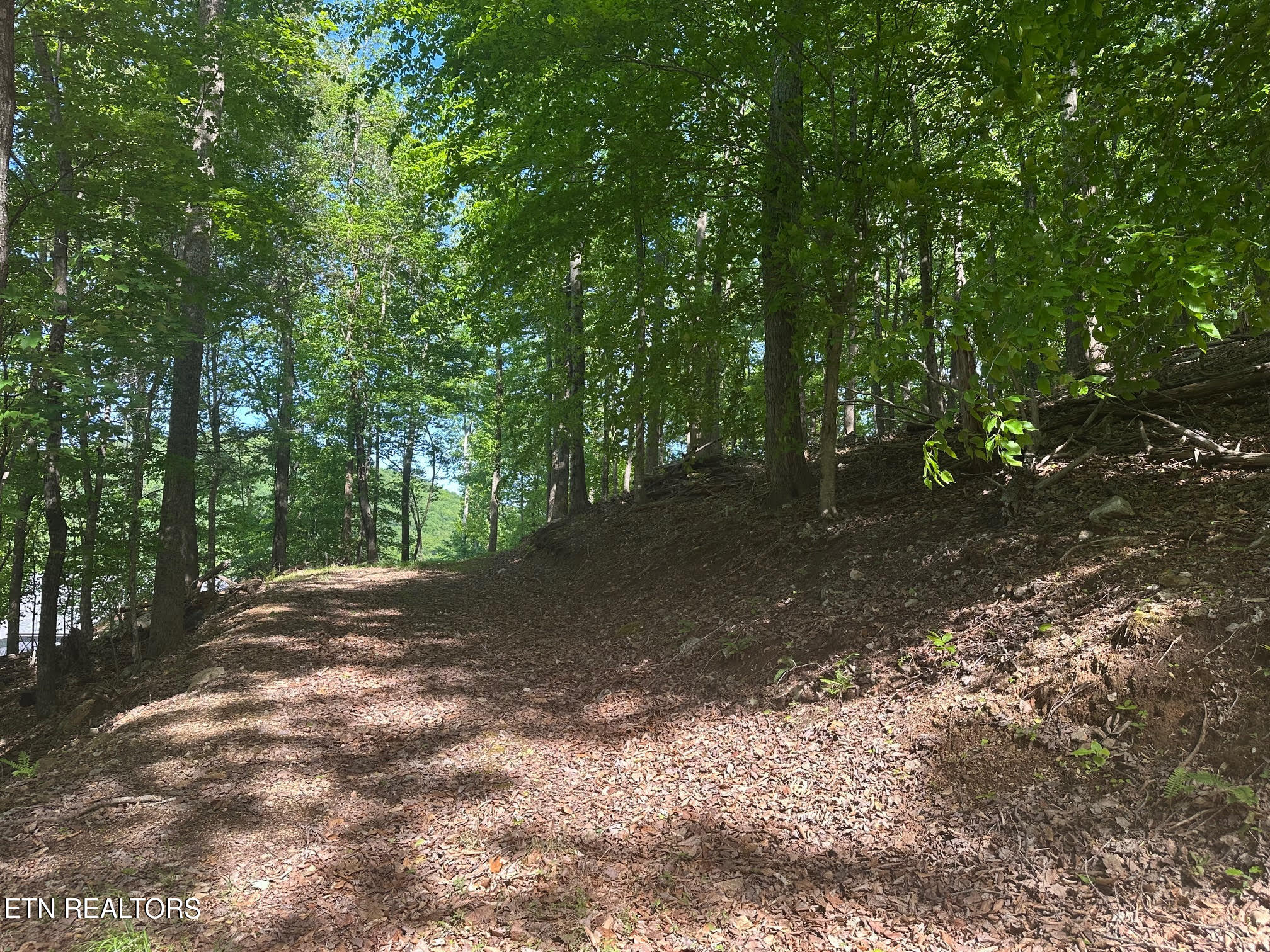 490 Fox Ridge Lane Caryville TN 37714