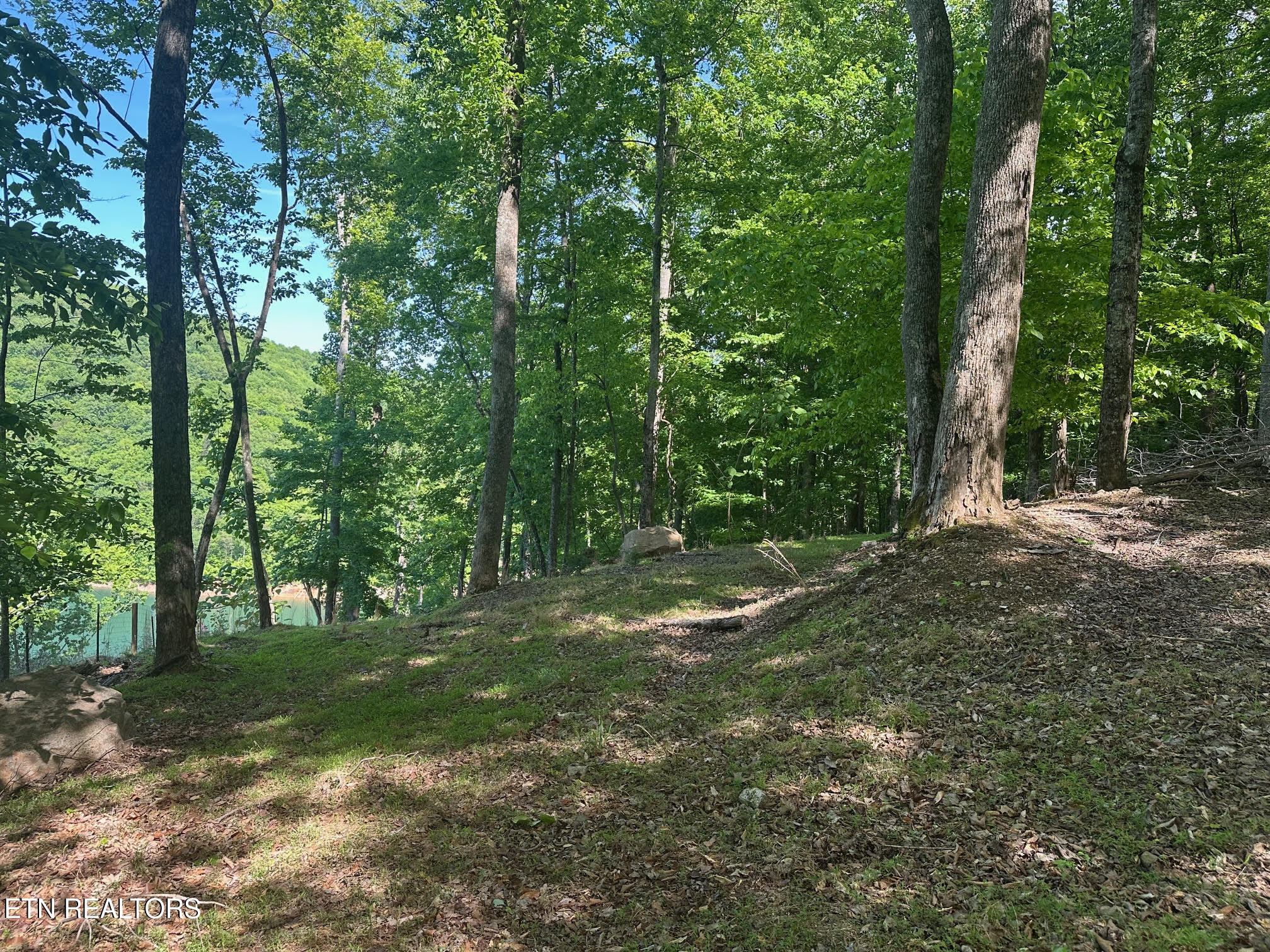 490 Fox Ridge Lane Caryville TN 37714