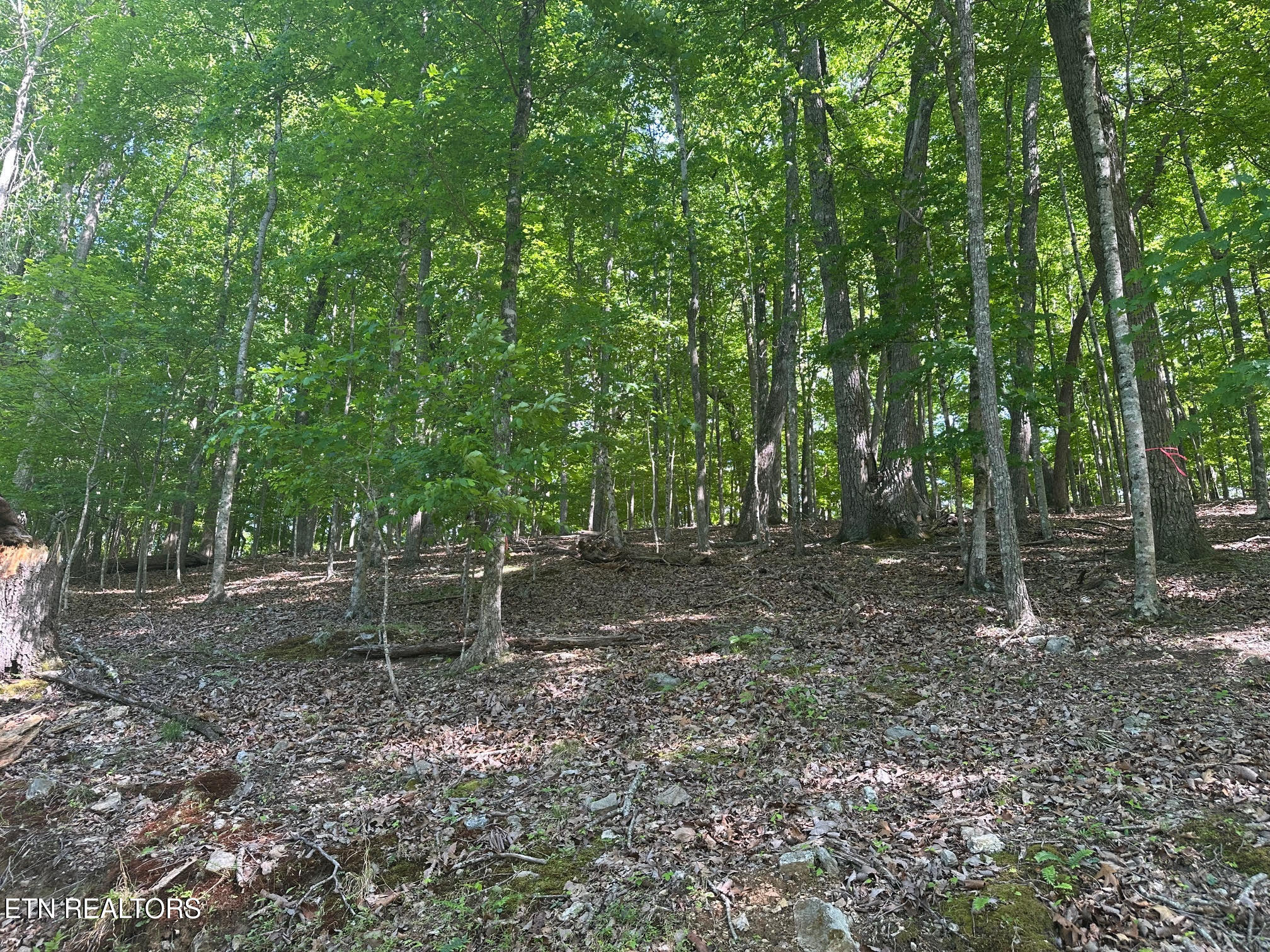 490 Fox Ridge Lane Caryville TN 37714