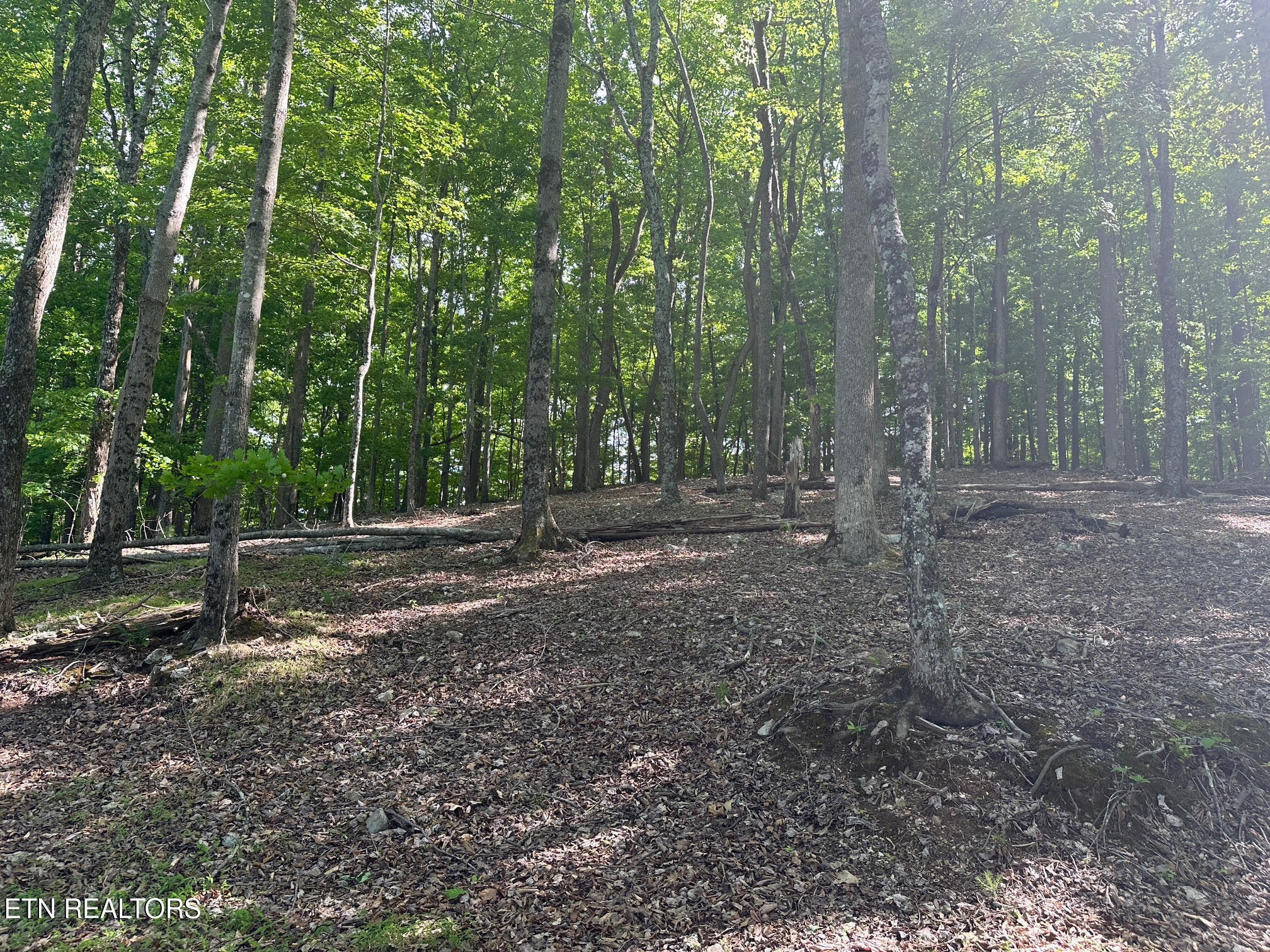 490 Fox Ridge Lane Caryville TN 37714