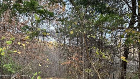Shady Lane Luttrell TN 37779