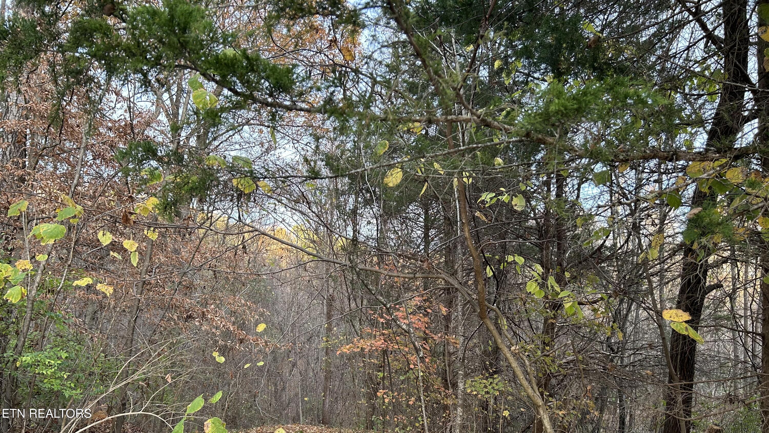Shady Lane Luttrell TN 37779