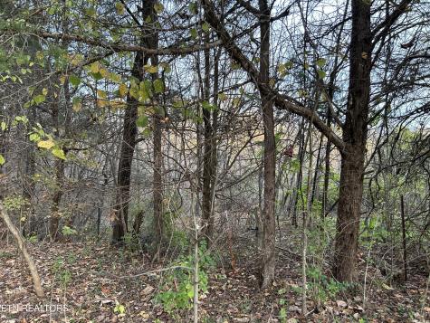 Shady Lane Luttrell TN 37779