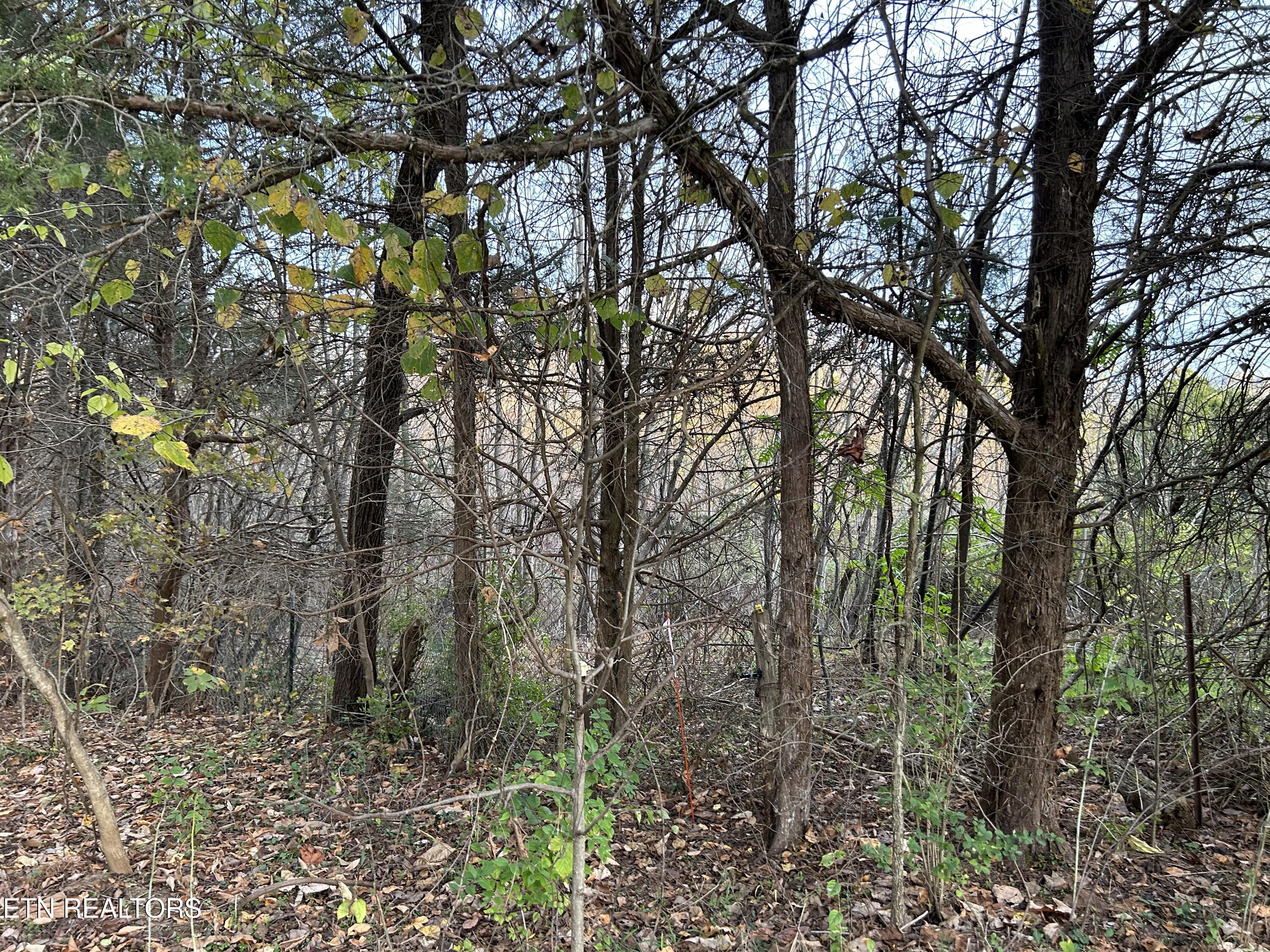 Shady Lane Luttrell TN 37779