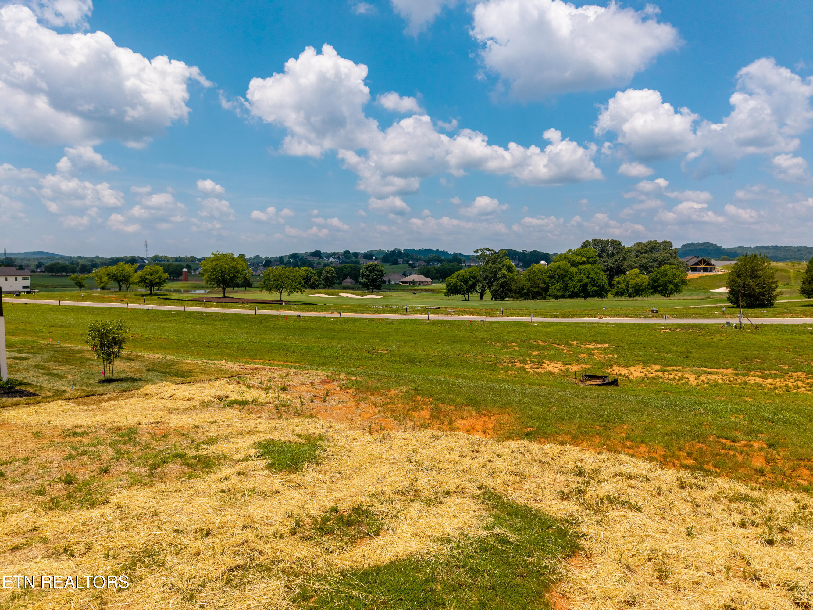 1462 Black Bear Circle Loudon TN 37774