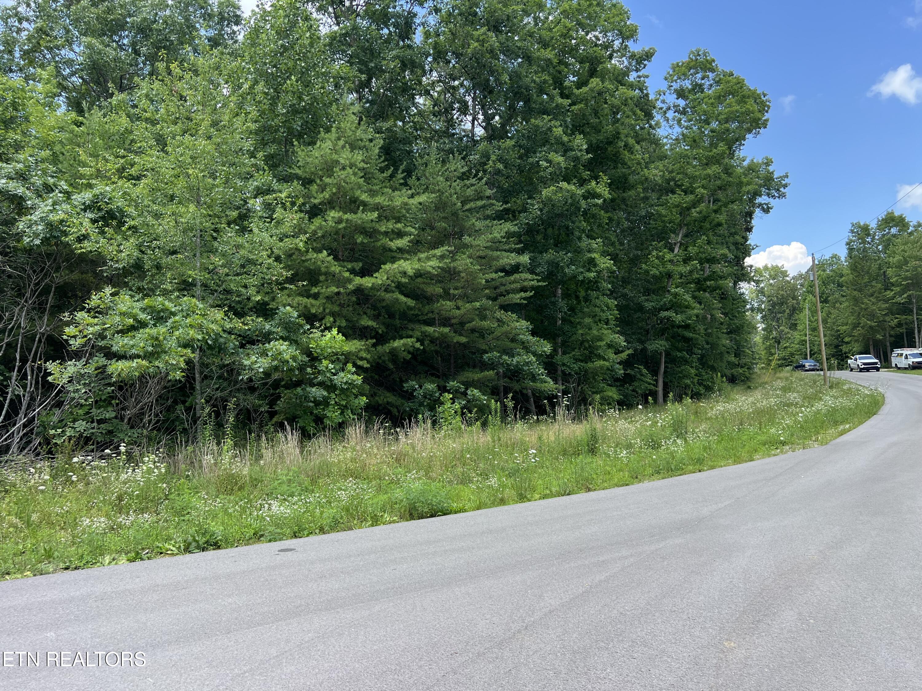 Lot 201 Elzies Way Grimsley TN 38565