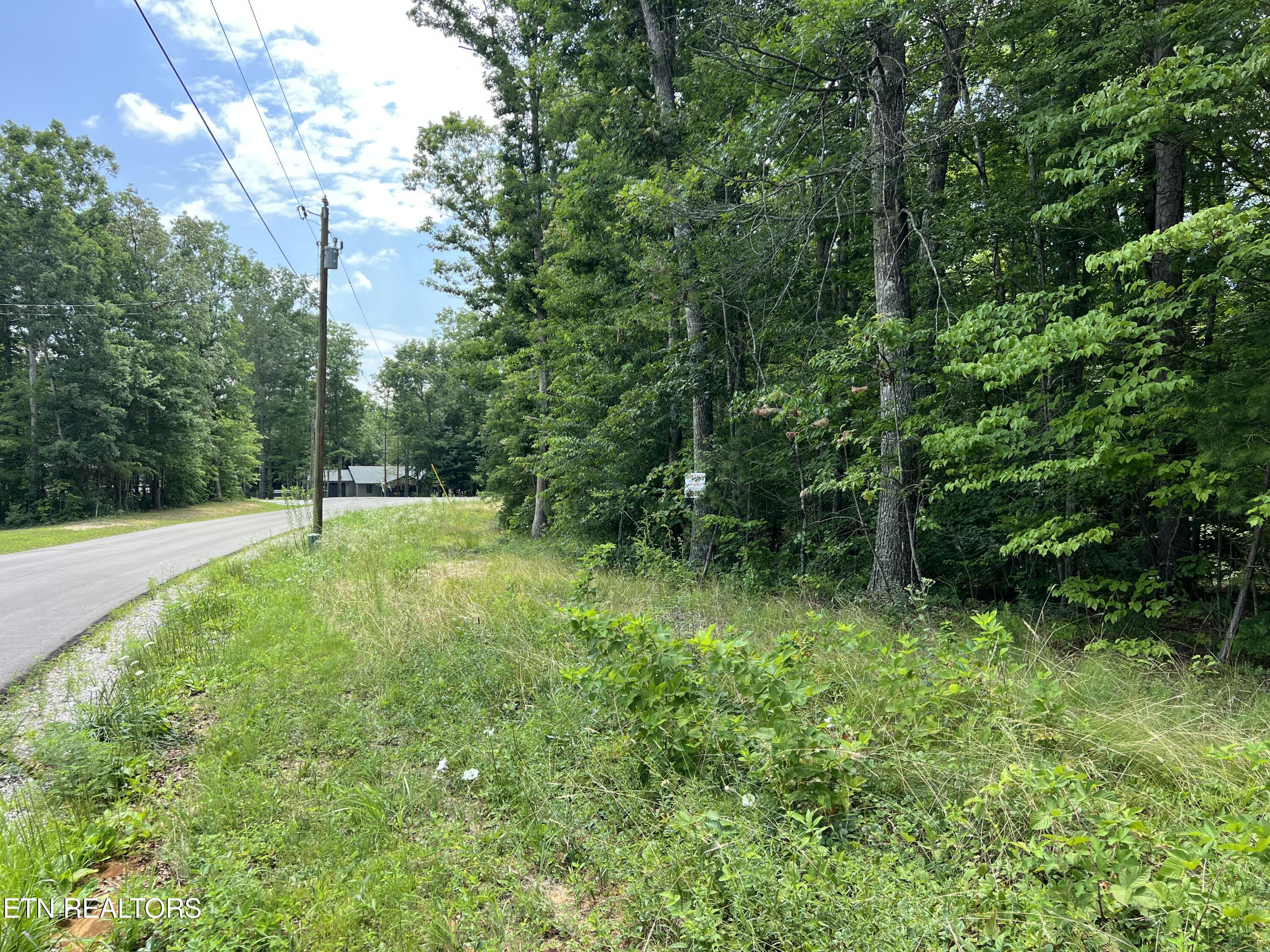 Lot 201 Elzies Way Grimsley TN 38565