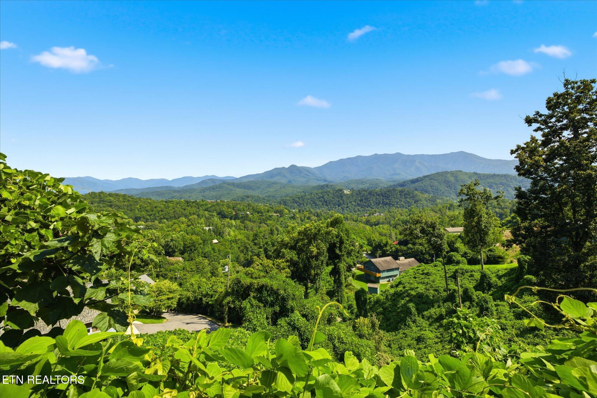 812 Beanstalk Court Gatlinburg TN 37738