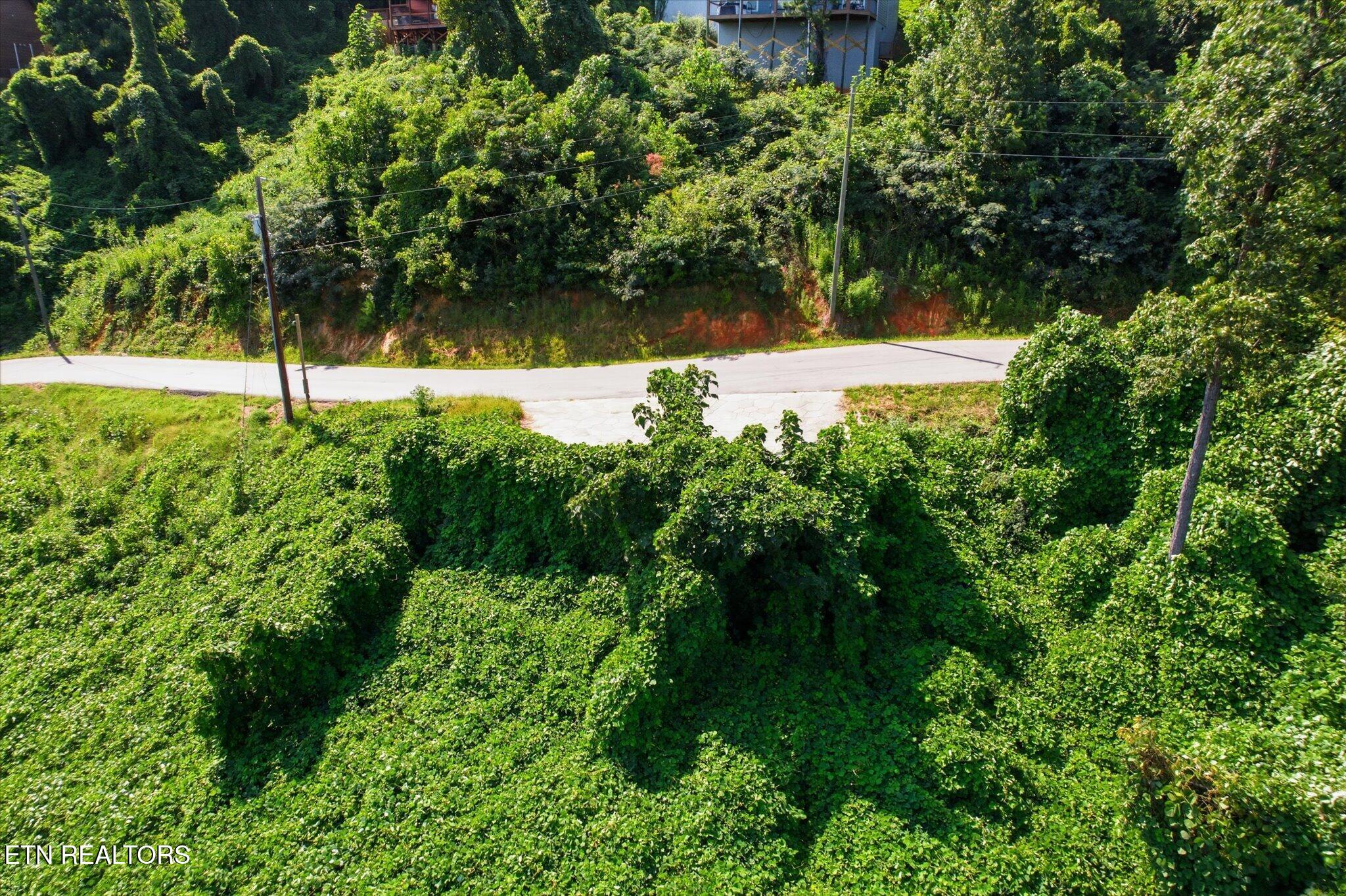 812 Beanstalk Court Gatlinburg TN 37738
