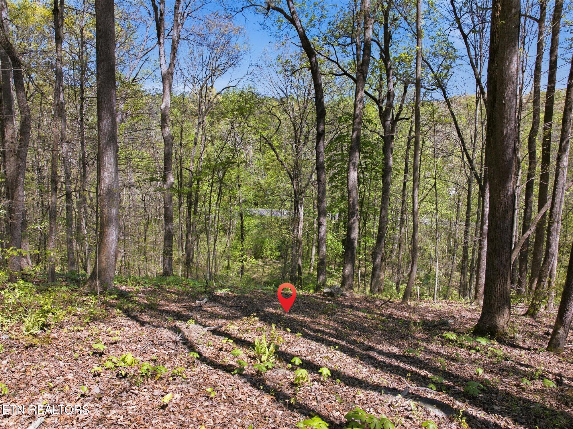 617 Skyline Drive Clinton TN 37716