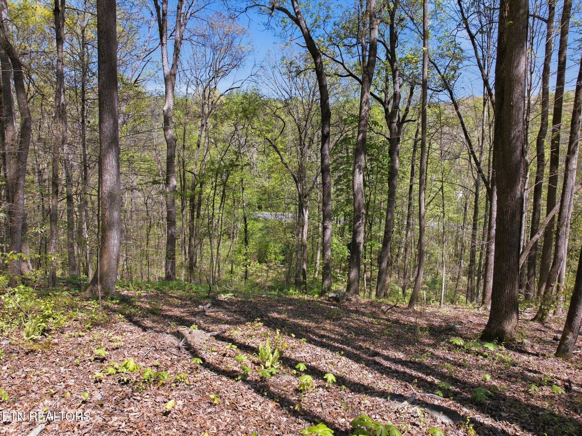 617 Skyline Drive Clinton TN 37716