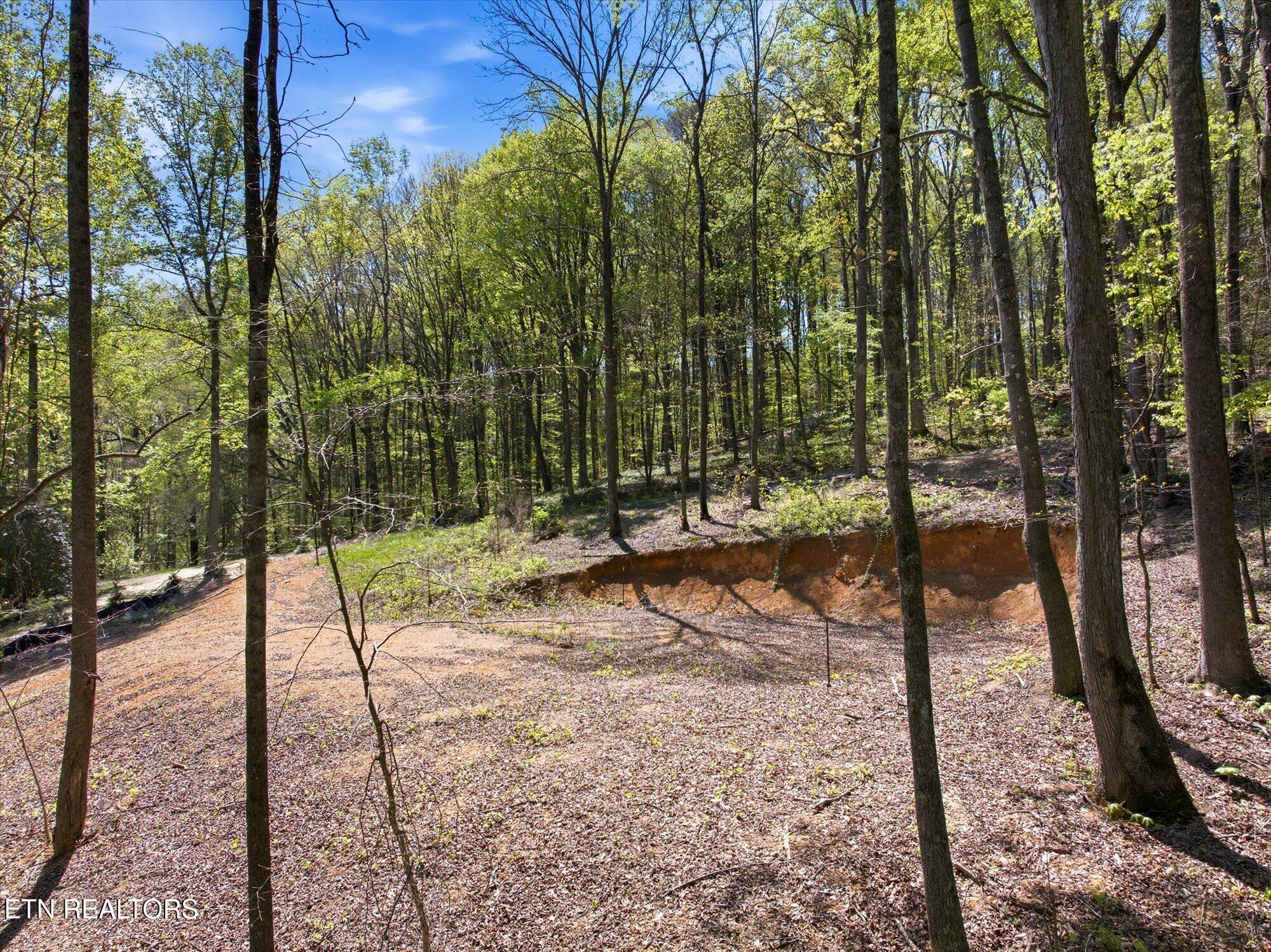 617 Skyline Drive Clinton TN 37716
