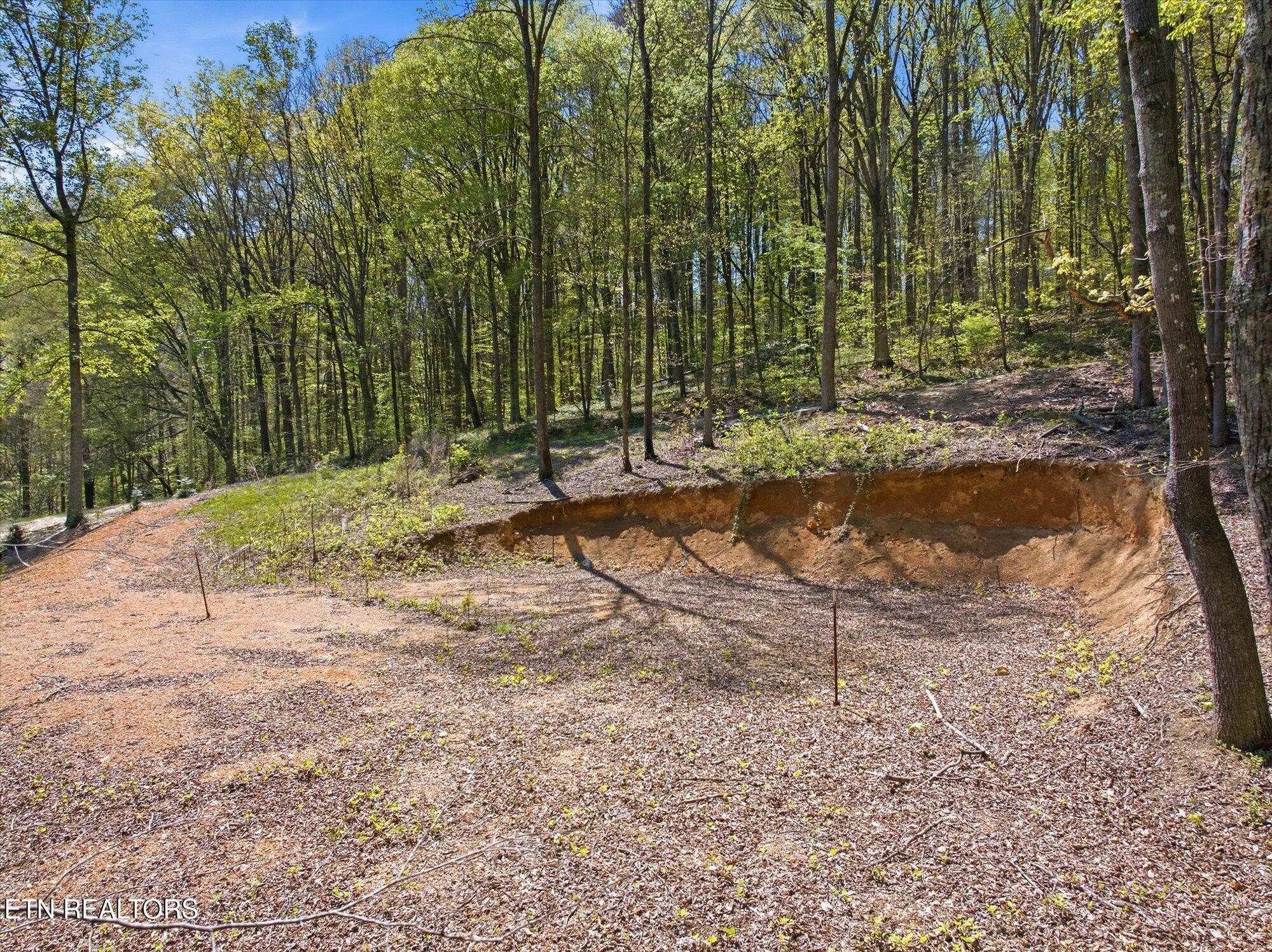 617 Skyline Drive Clinton TN 37716