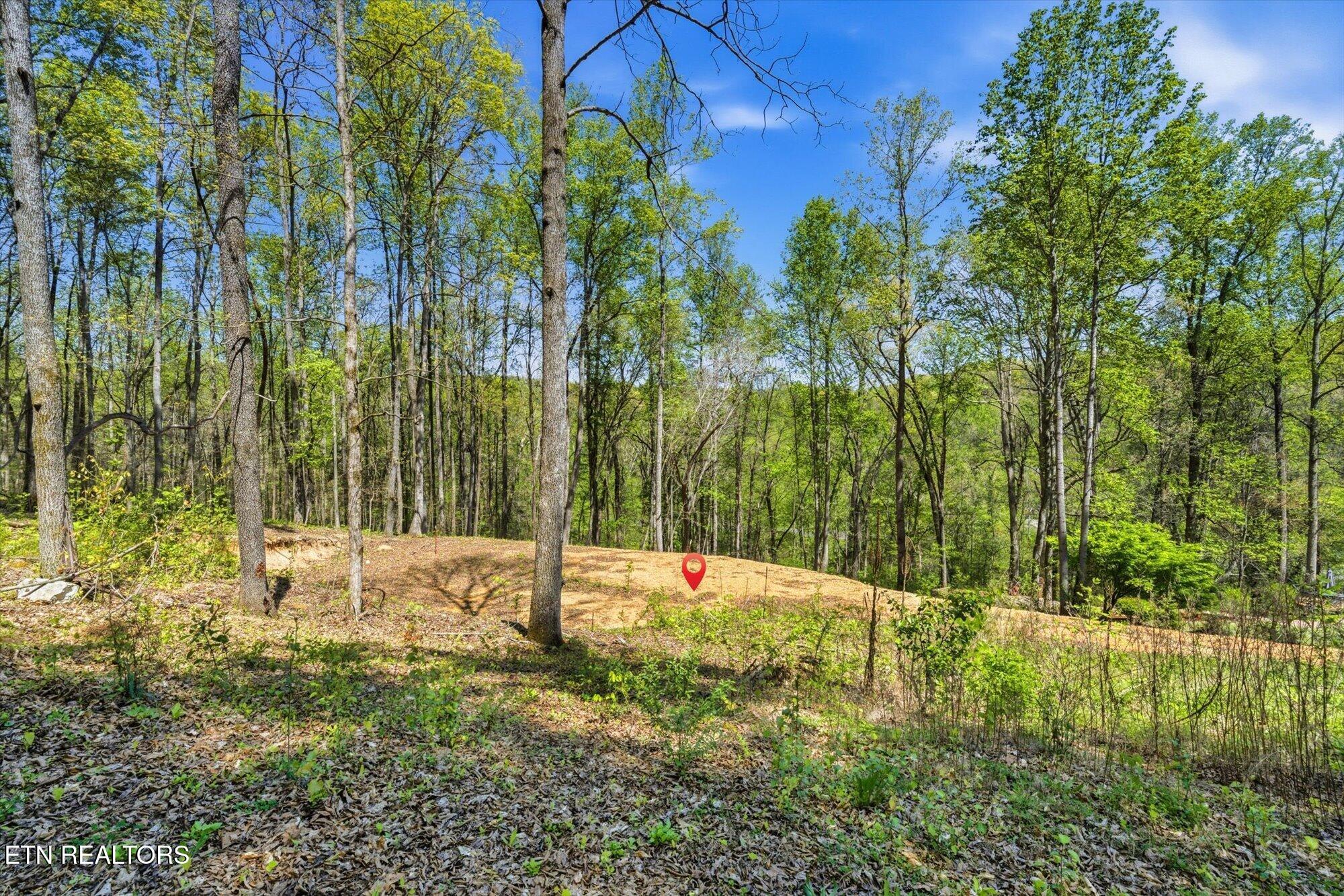 617 Skyline Drive Clinton TN 37716