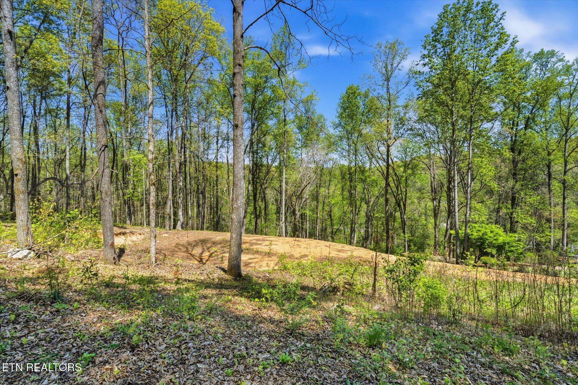 617 Skyline Drive Clinton TN 37716