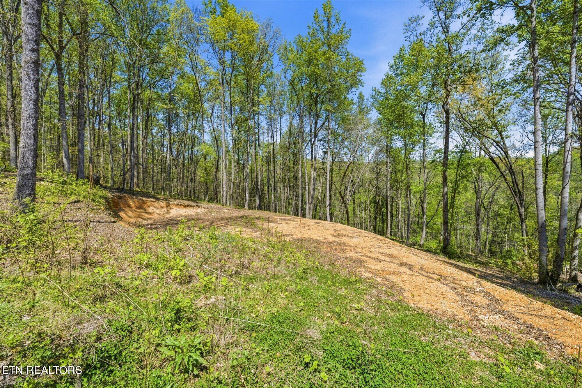 617 Skyline Drive Clinton TN 37716
