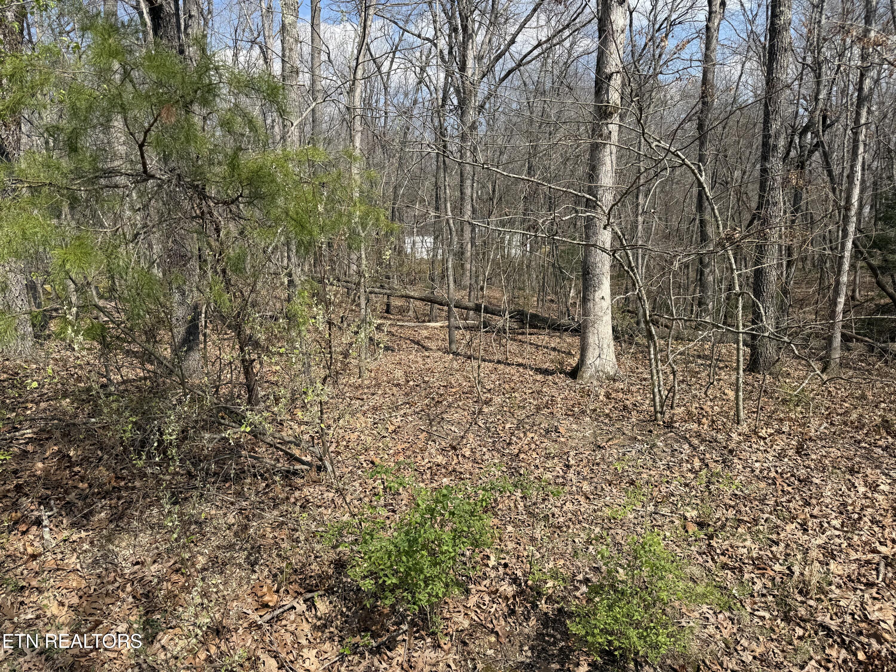 144 Delbridge Lane Fairfield Glade TN 38558