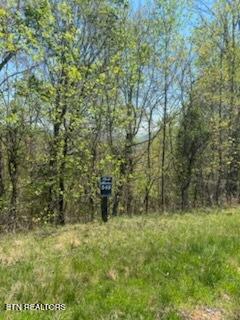 Lot 548 Marble Point Way New Tazewell TN 37825