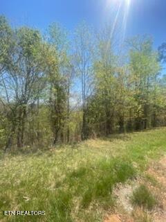 Lot 548 Marble Point Way New Tazewell TN 37825