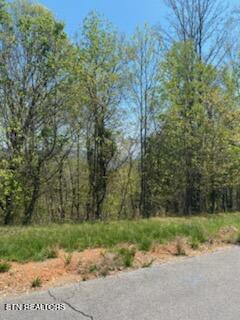 Lot 548 Marble Point Way New Tazewell TN 37825