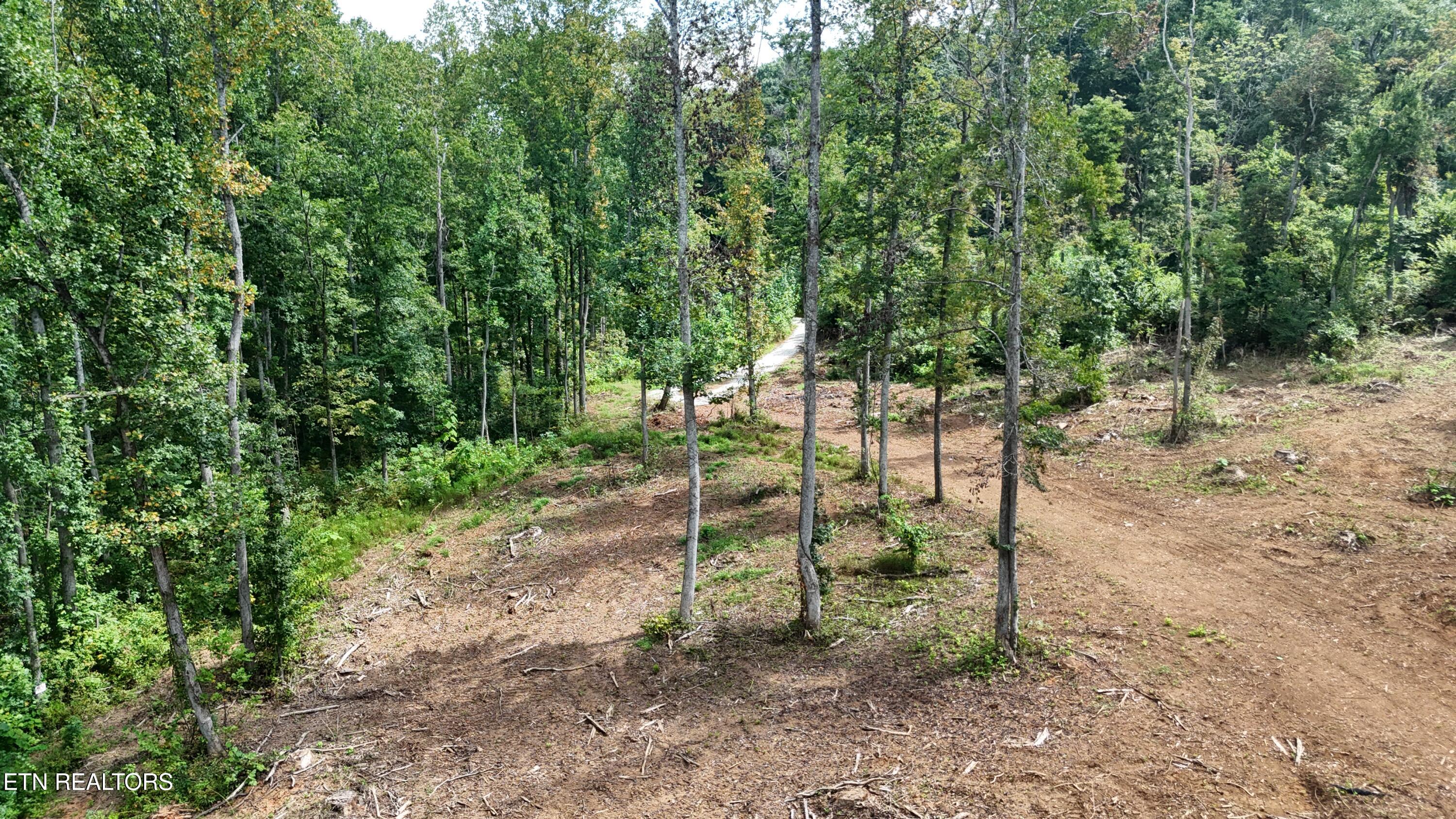 Easterly Circle Rocky Top TN 37769