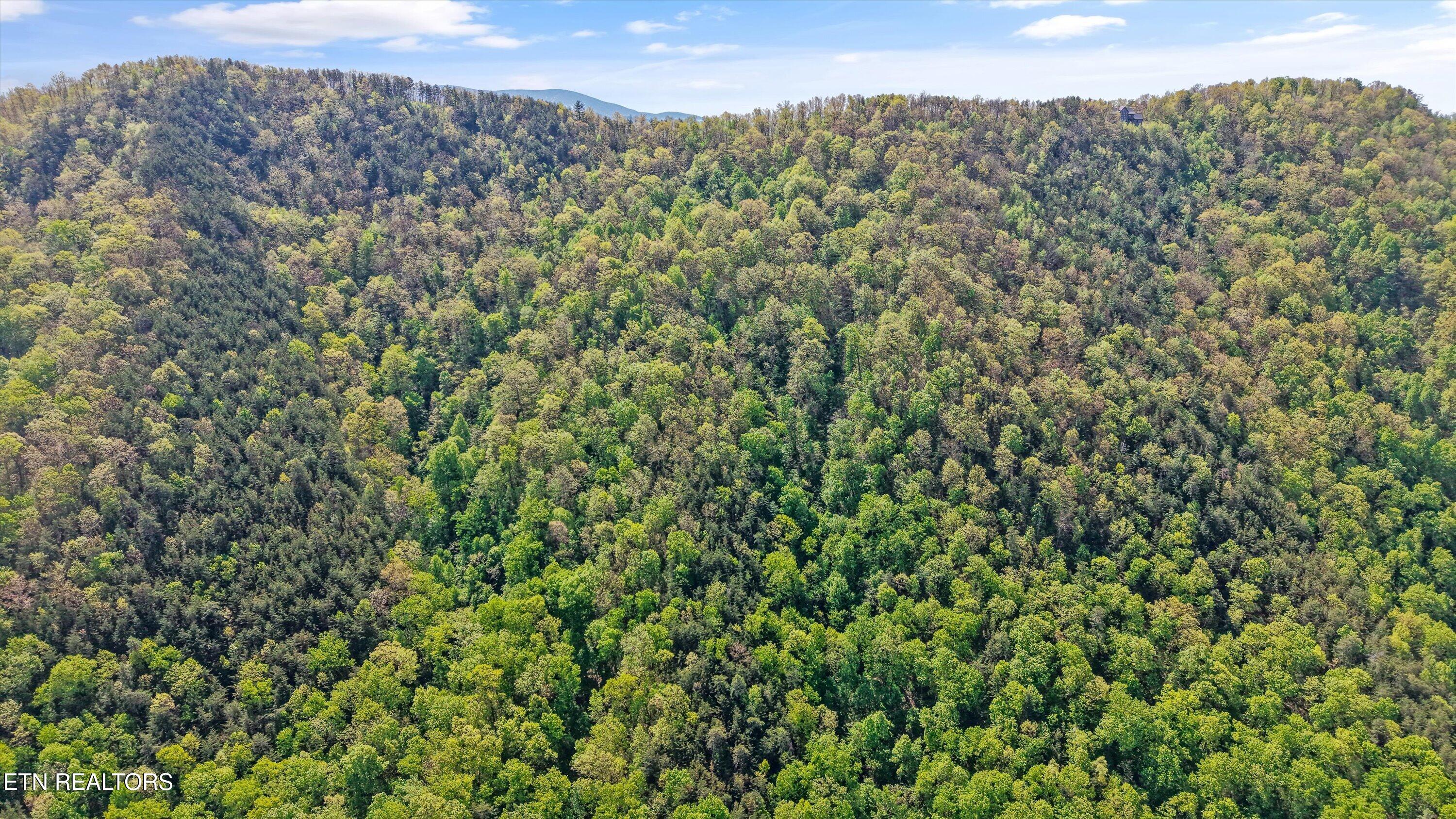 77 & 1-2 Chilhowee Trail Maryville TN 37803