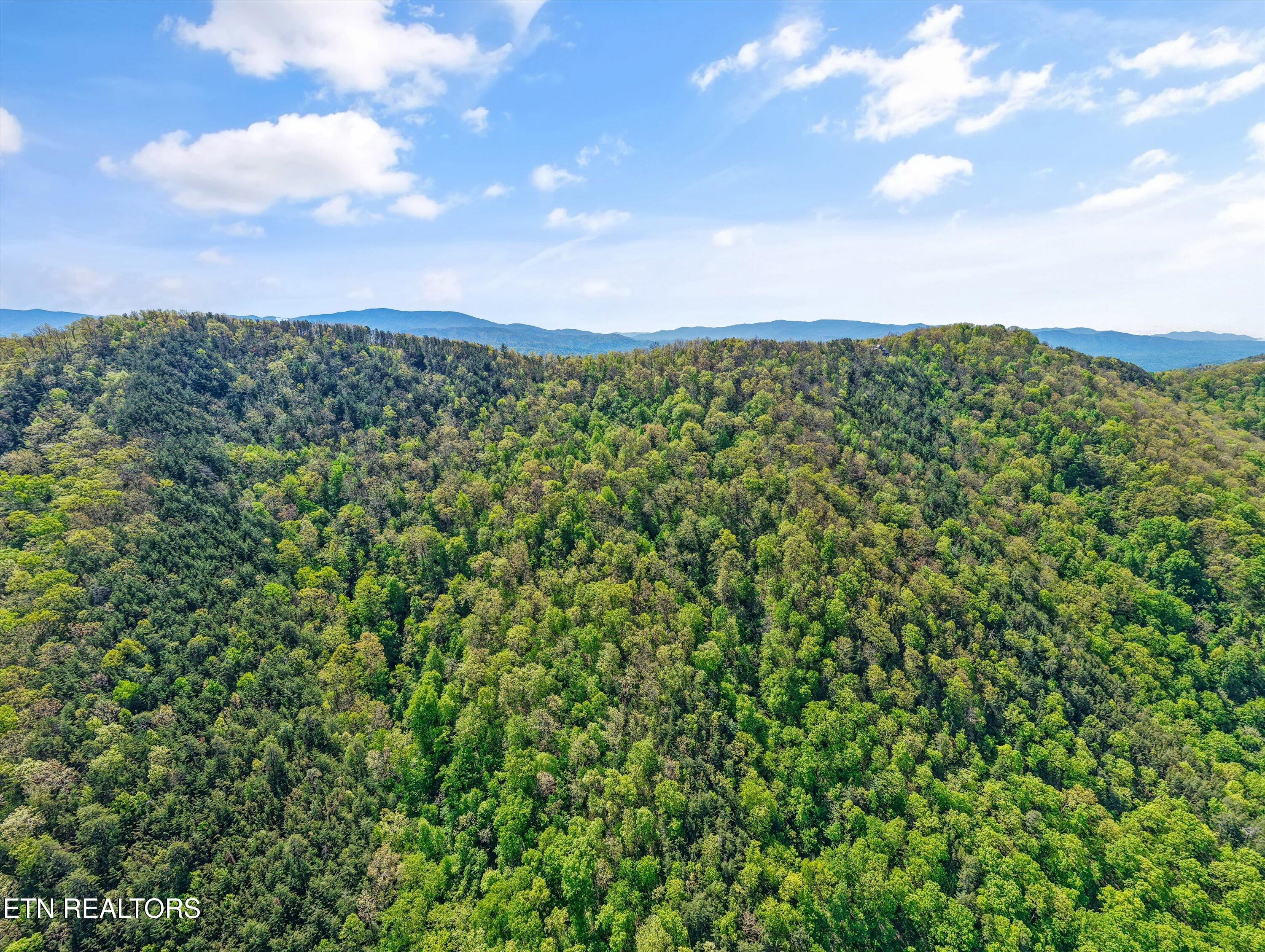 77 & 1-2 Chilhowee Trail Maryville TN 37803