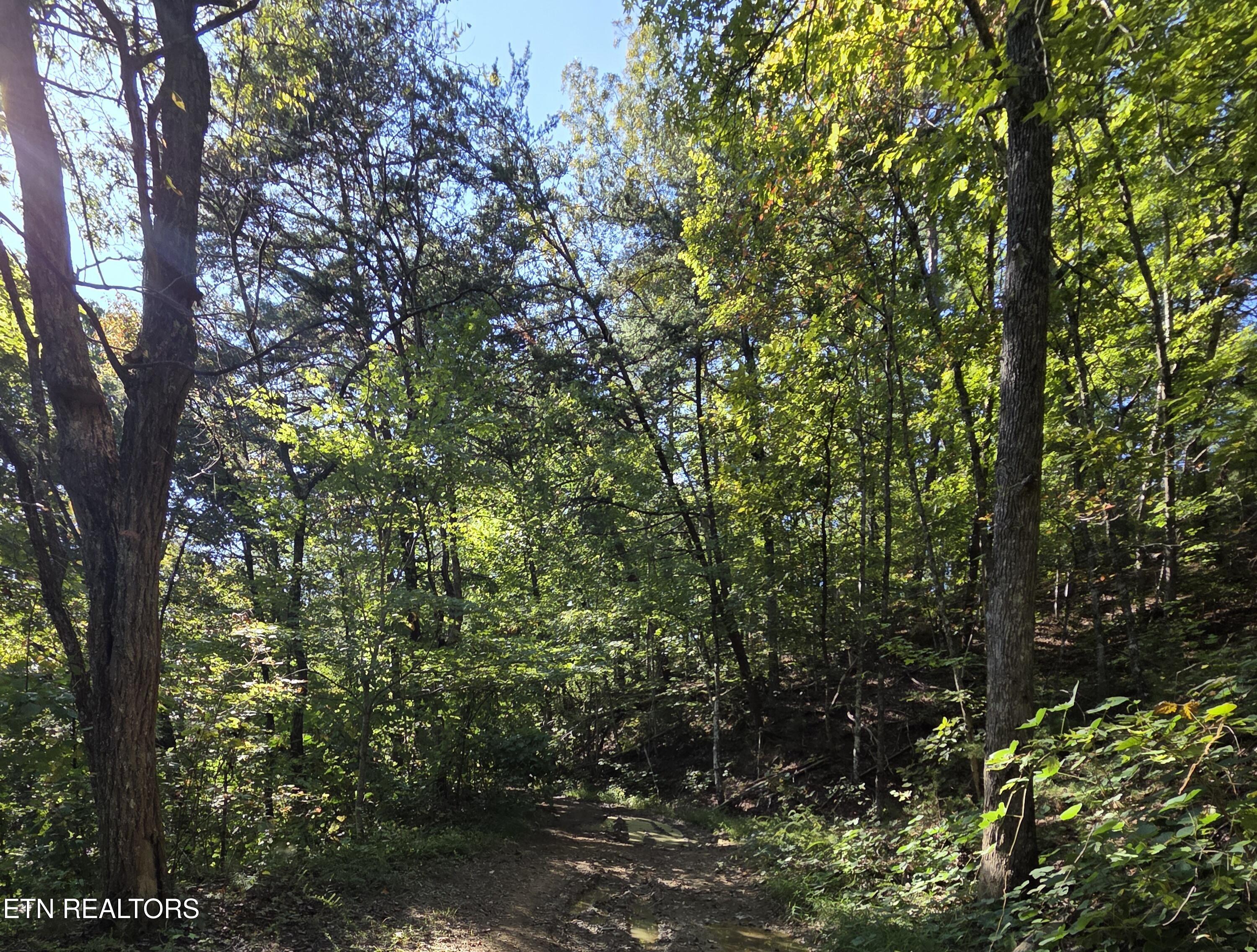 Lot 98 Redbud Lane Sevierville TN 37876