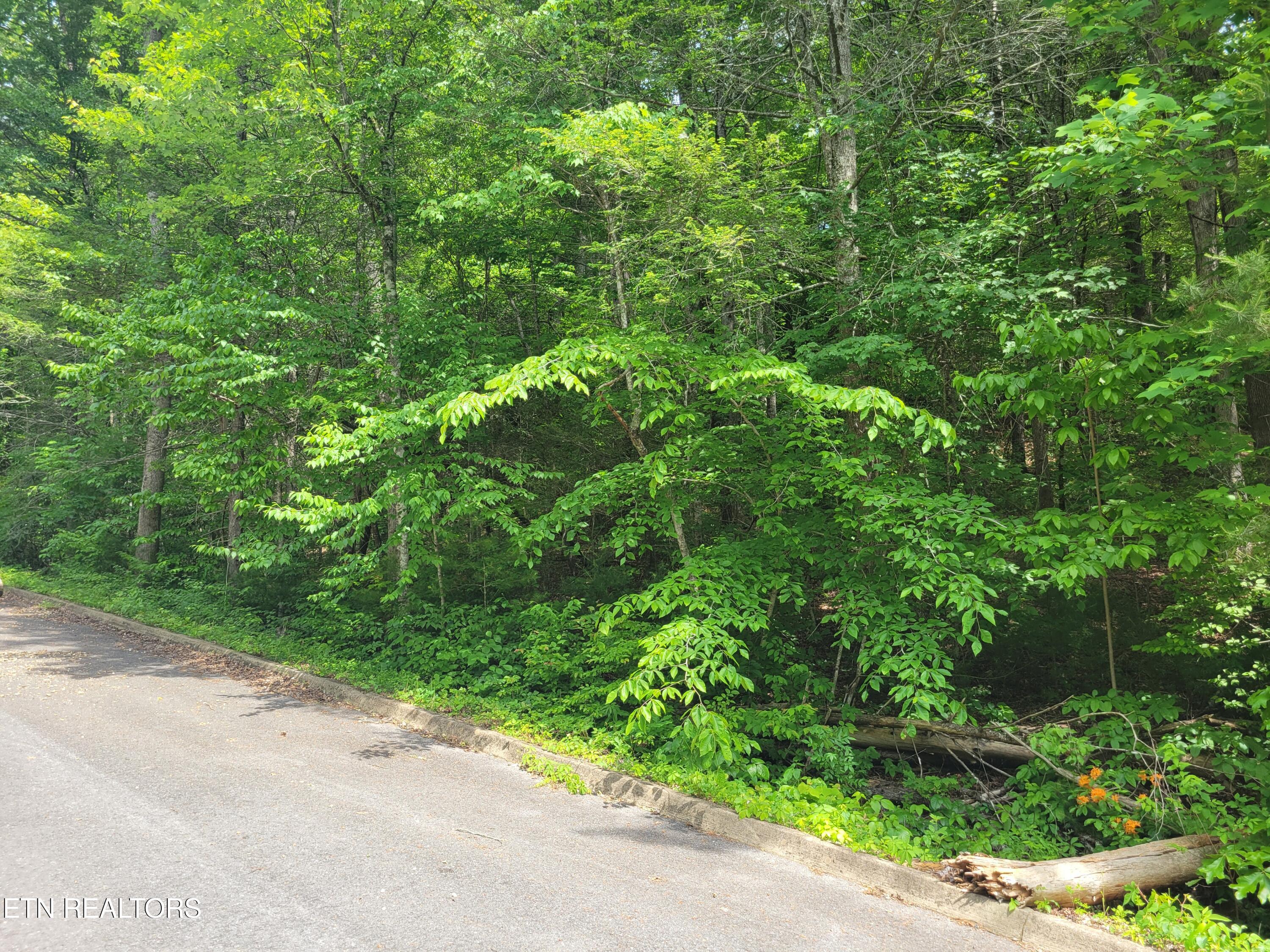 Lot 13 Peace Lane Cosby TN 37722