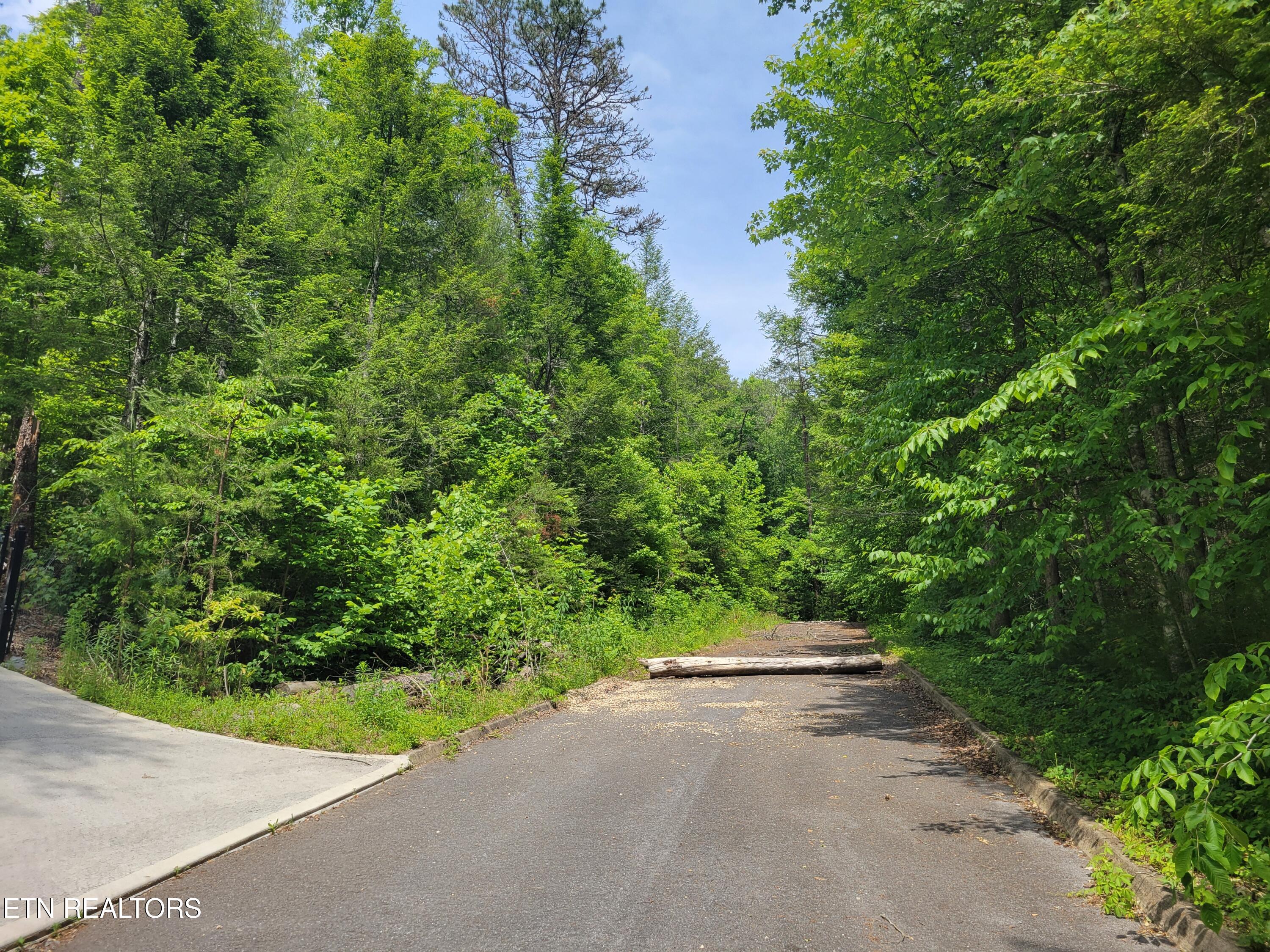 Lot 13 Peace Lane Cosby TN 37722