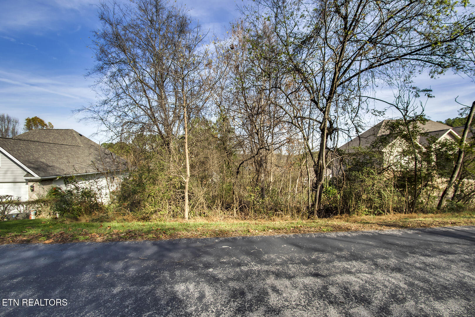 306 Awohili Lane Loudon TN 37774