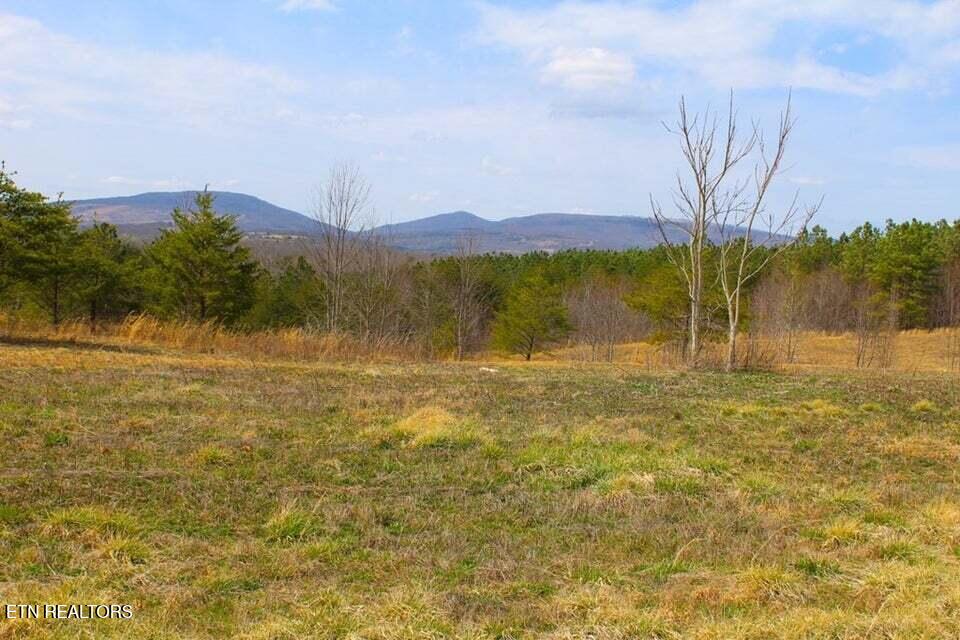 6 Tower Road Grandview TN 37337