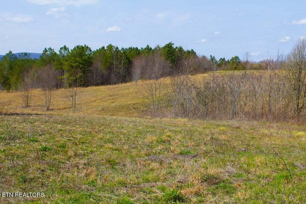 6 Tower Road Grandview TN 37337