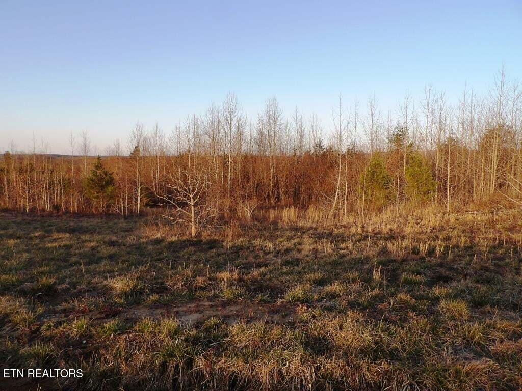 6 Tower Road Grandview TN 37337