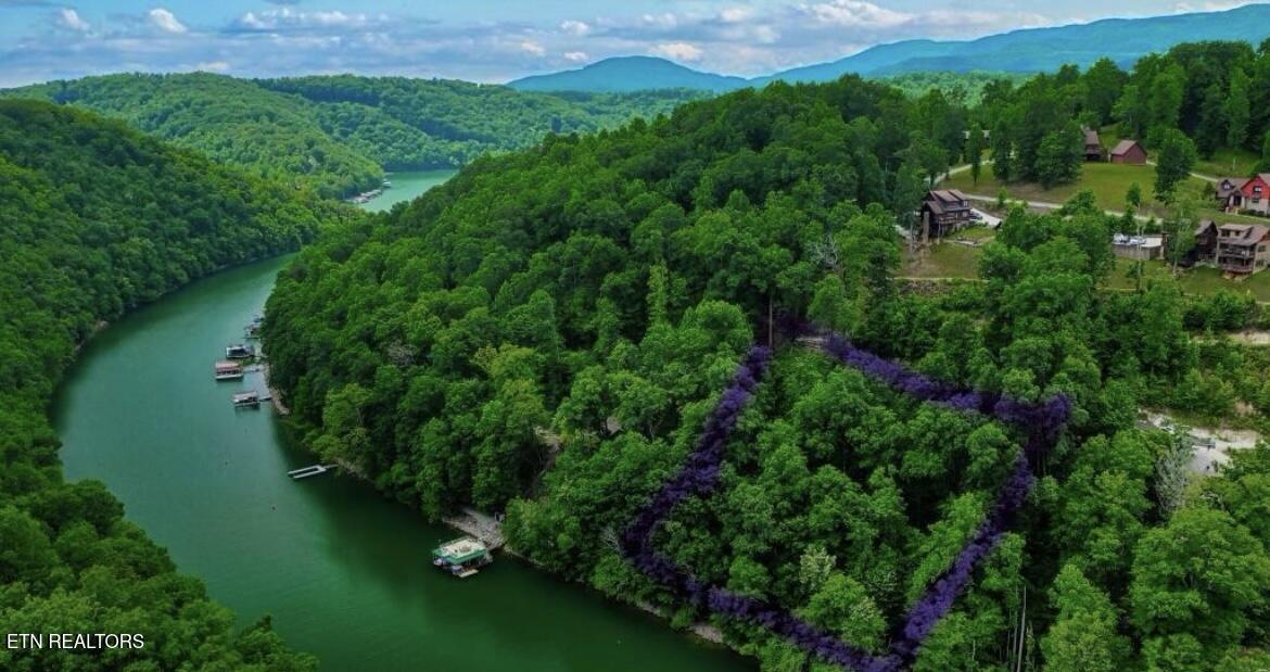 Hiawatha Lane Caryville TN 37714