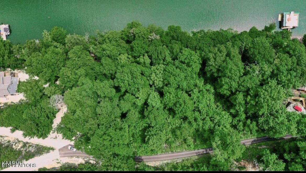 Hiawatha Lane Caryville TN 37714
